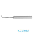 Ber6 Sindesmotomo Bernard