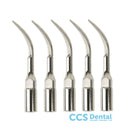 Pd1 Punta Ultrason. Dte Tipo Satelec 5Uds.