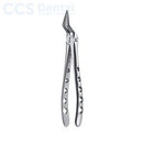 Fórceps extracción raíces patrón inglés