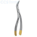 Fórceps para extracción de raíz con revestimiento de diamante