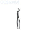 Fórceps dentales patrón americano fig.10S