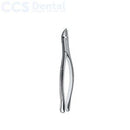 Fórceps dentales patrón americano CRYER