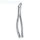 Pinza dentales patrón americano