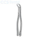 Fórceps dentales patrón americano fig. 23