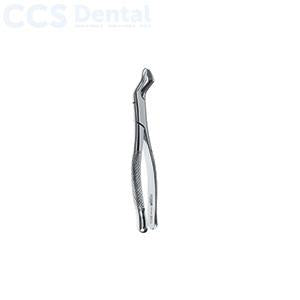 Fórceps dentales patrón americano fig. 53R