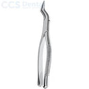 Fórceps dentales patrón americano