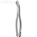 Fórceps dentales patrón americano Nevius