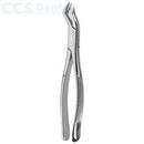 Fórceps dentales patrón americano Nevius