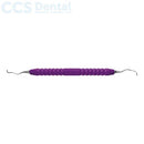 Cureta especia GRA 11/12