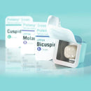 coronas 3M ESPE, coronas protemp 5u.