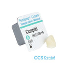 Coronas Protemp. 5Uds.