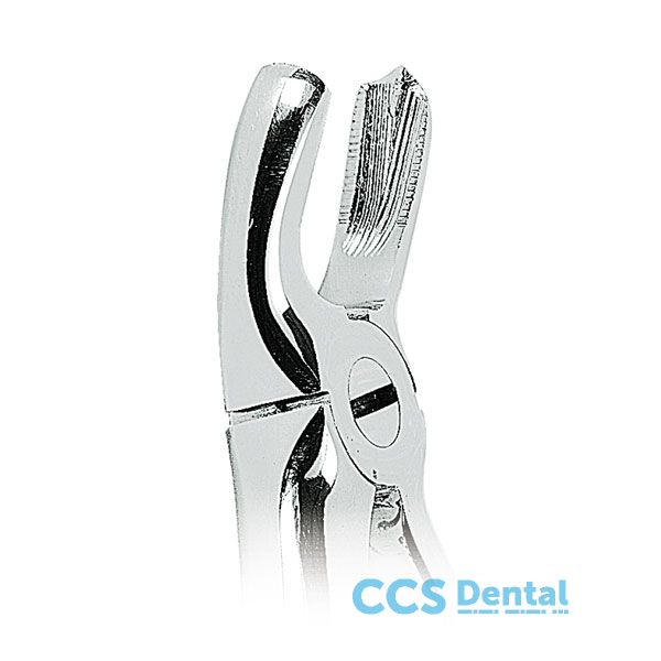 0100-18 Forceps Molare Sup. Izquierda