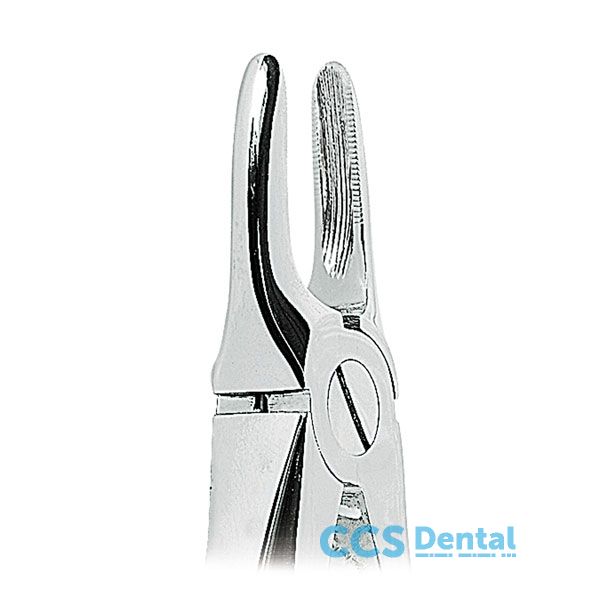 0100-29 Forceps Raices Sup. 