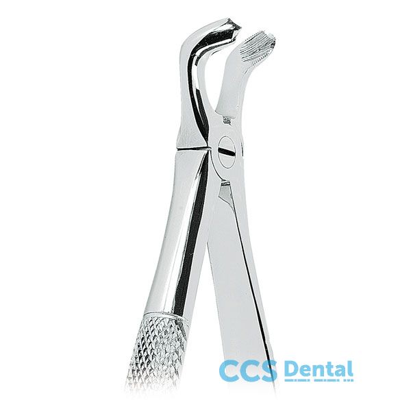 0100-79 Forceps Cordales Inferiores