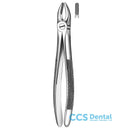 1 Forceps Incisivo-Canino Sup.