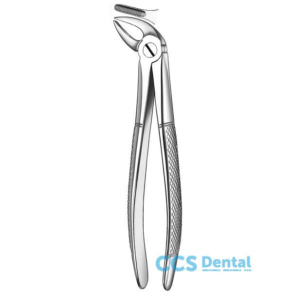 4 Forceps Incisivo-Canino Inf.
