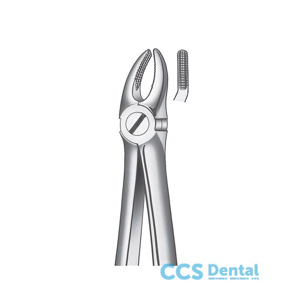 7D Forceps Premolar Sup. Diam.