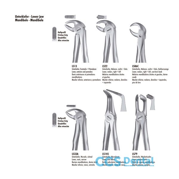 Ls13 Forceps Premolar Inf. Liquid Steel 