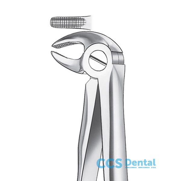 13D Forceps Premolar Inf.Diama