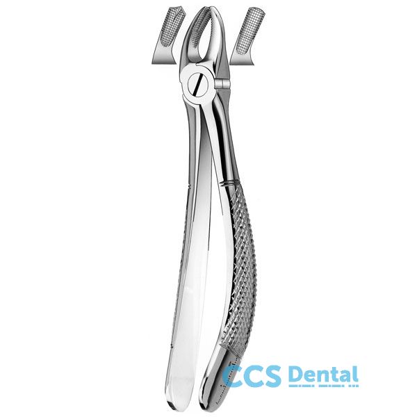 18K Forceps Niños Molares     