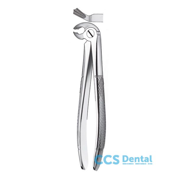 23 Forceps     
