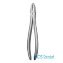 E29 Forceps Raices Superiores 