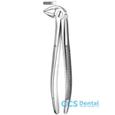 33 Forceps Raices Inferiores  