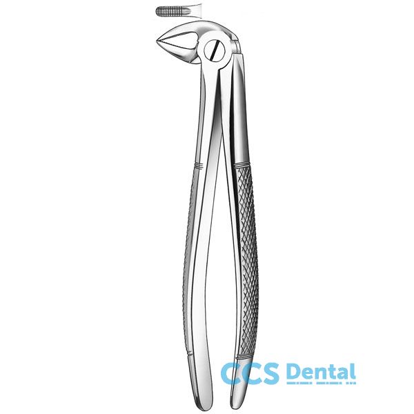 33 Forceps Raices Inferiores  
