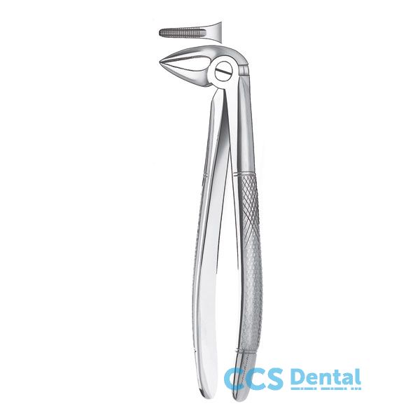33 1/2 Forceps Raices Inferior