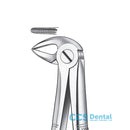 Ls33A Forceps Raices Inf. Liquid Steel