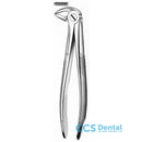 33A Forceps Raices Inferiores 