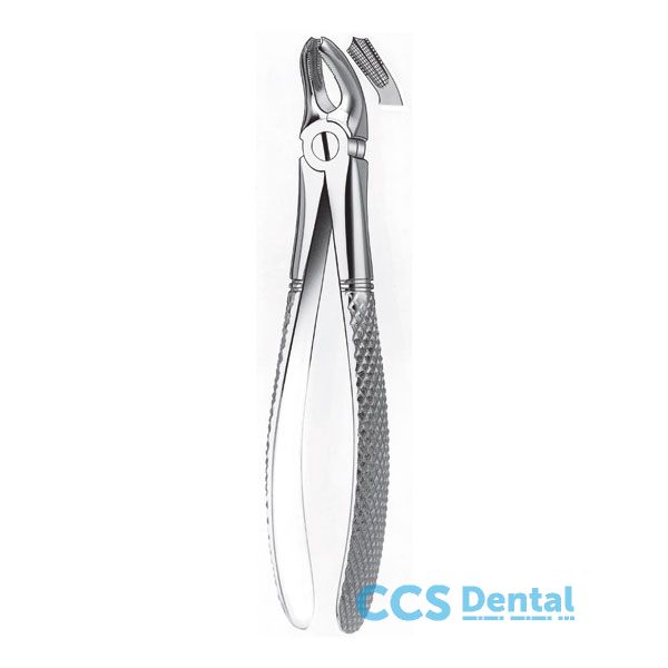 40 Forceps Raices Superiores  