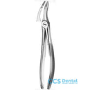 44 Forceps Raices Superiores  