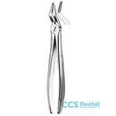 51 Forceps Raices Superiores  