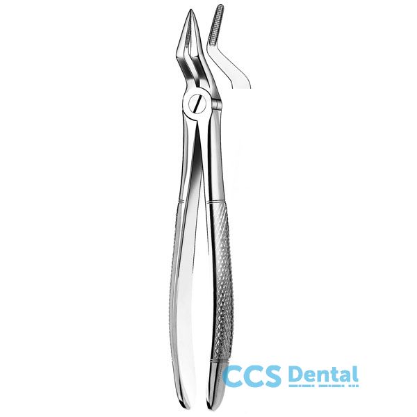 51 Forceps Raices Superiores  