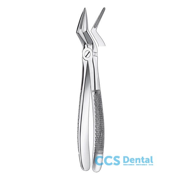 51 1/2 Forceps Raices Superor.