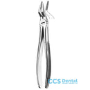 51A Forceps Raices Superiores 