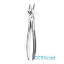 51Ad Forceps Raices Sup. Diamant.