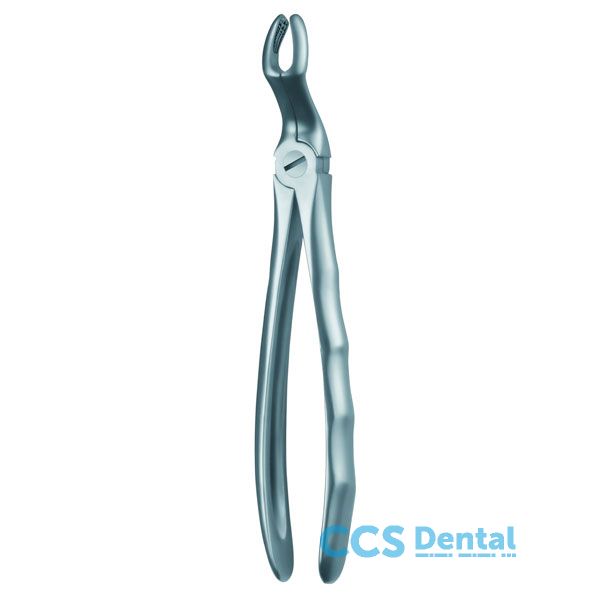 67A Forceps Cordal Superior   