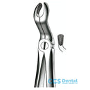 E67A Forceps N.67A Cordal Sup.