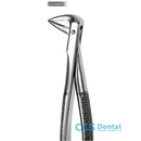 M74 Forceps Raices Inferiores 