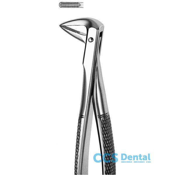 M74 Forceps Raices Inferiores 