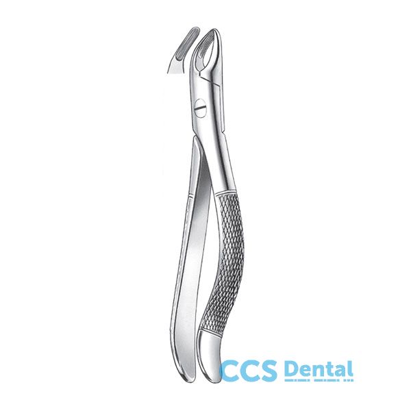 76 Forceps Read Raices Sup.   