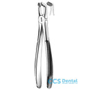 79 Forceps Cordales Inferiores