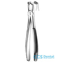 E79 Forceps N.79 Cordal Inf.  