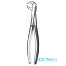 M86A Forceps Molares Inferior.