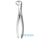 M86B Forceps Molares Inferior.