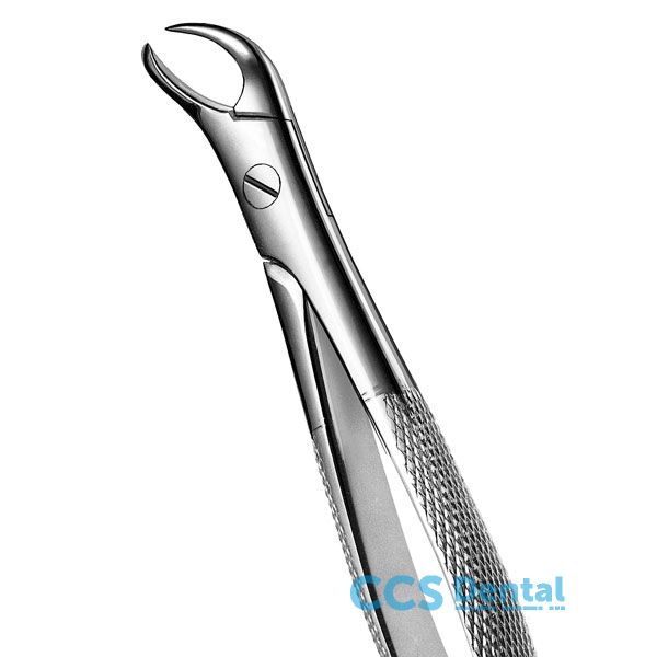 87 Forceps Molares Inferiores 