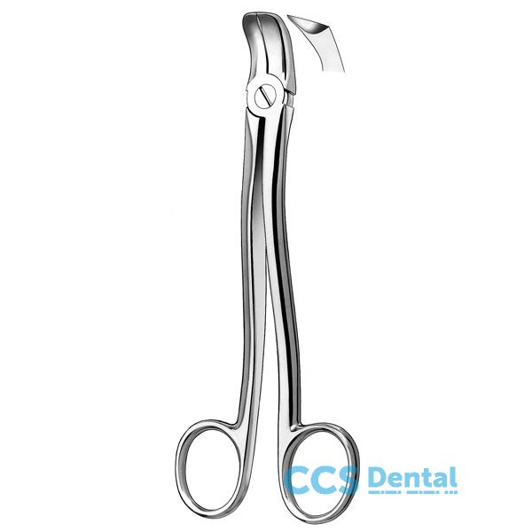 120 Forceps                   