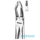 M117 Forceps Molares Superior.